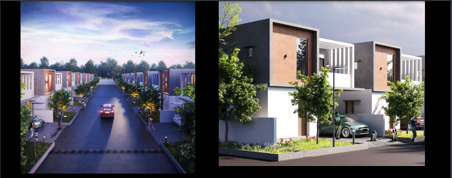 Gallery 1