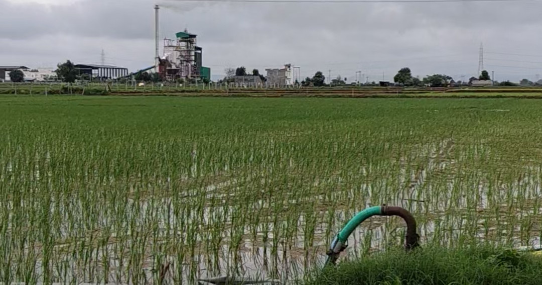 Agricultural Land