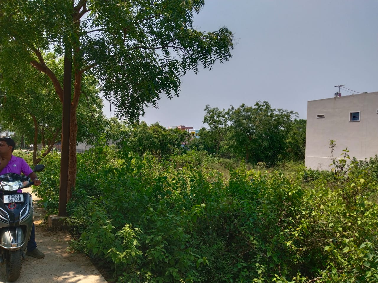 Property Image 8