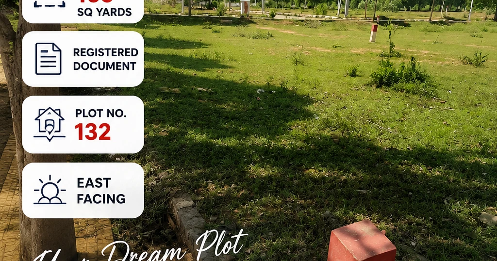 Plot