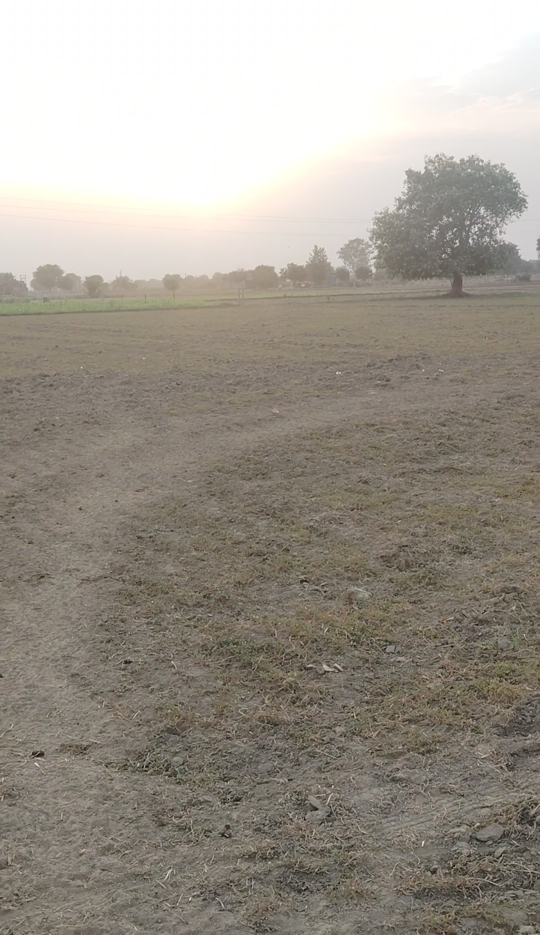 Agricultural Land