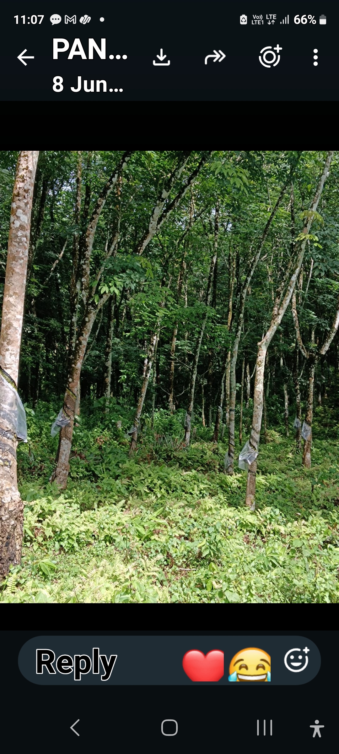 Agricultural Land