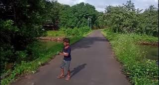 Commercial Land